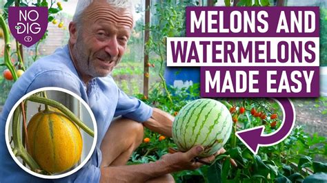 melones tubes|Melons